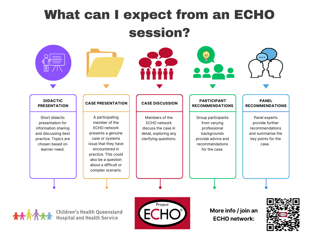 What Is the  Echo?